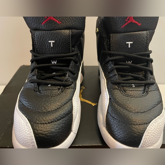 Nike Other - Nike Jordan Retro 12